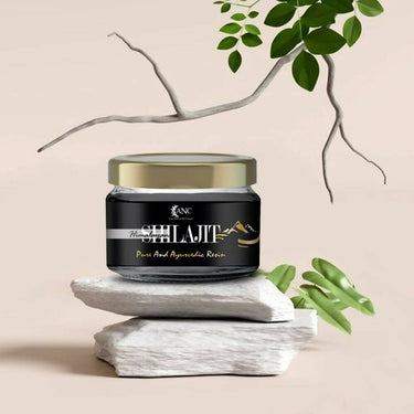 https://cdn.shopify.com/s/files/1/1857/6931/products/XHWkOYpBnI.jpg?v=1694411905